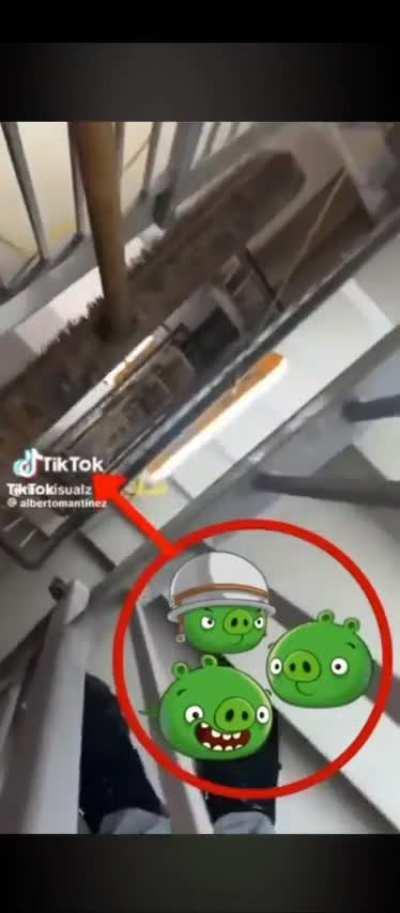 I'm 15 and this is yeet