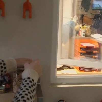 Opening the cookie jar