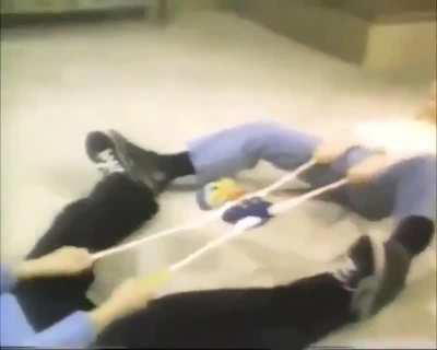 *Screams in pain while being ripped apart*