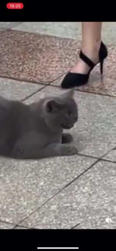 People Who like beta ayaka underwear be like: