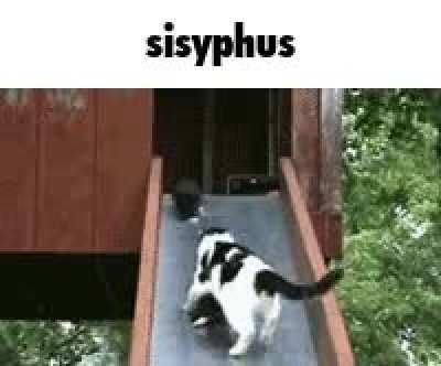 An other victim of Time Wizard😢CONDEMN THEM FOR THEIR SINS