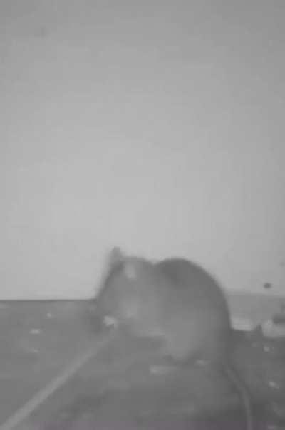 Yeah the house aint yours at this point