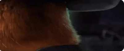 30+ or I WILL post porn. What will it be roomba?