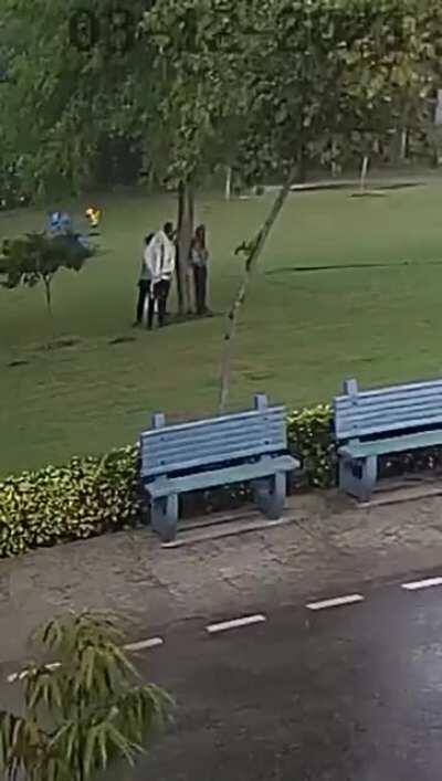 WCGW combining tree and thunderstorm