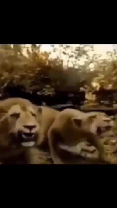 Caten farten 🤤🤤