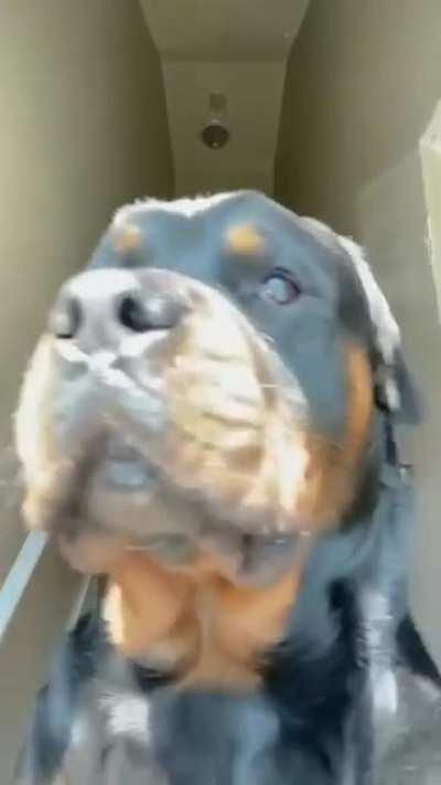 Sorry, it's my show now.