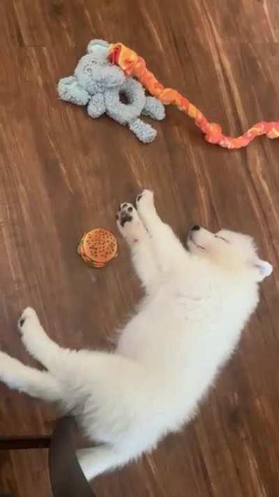 We have a snorer ! 😍😍