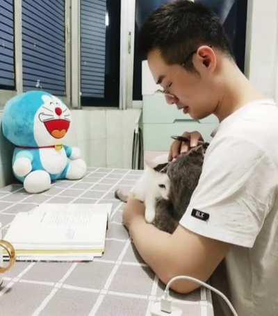 A cat’s love and affection