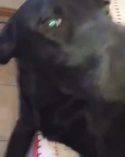 Vos SOS demasiado fachero