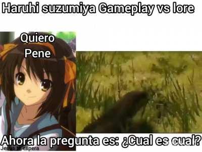Me acabo de terminar de ver haruhi, puedo decir sin lugar a dudas que el 