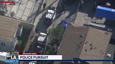 Jean Paul juking the entire PD