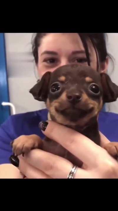 The world may not be perfect but he is!