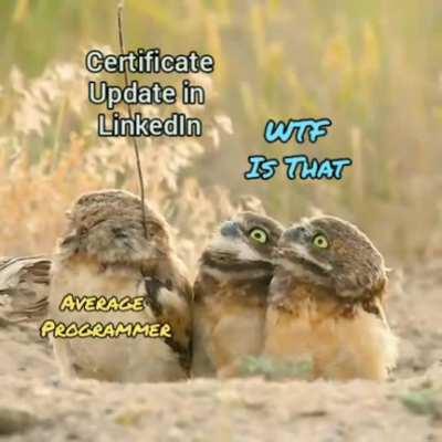 The list behind LinkedIn names