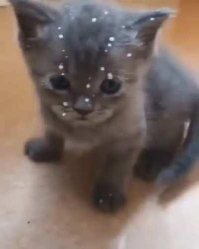 He just wanted a peaceful meal.