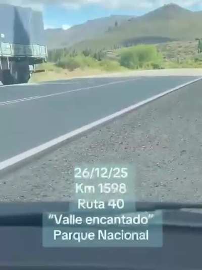 No sean como Gustavo