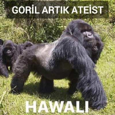 Ateist gorilin üzücü hikayesi