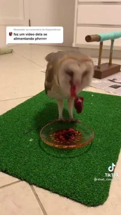 MUFINHA TA AI O LUGAR PARA COMPRAR A CARNE DO CHURRAS DOS CRIAS