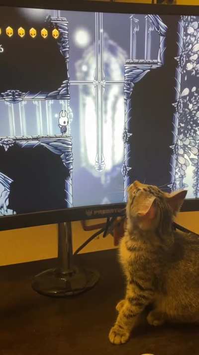 She is a fan of white palace