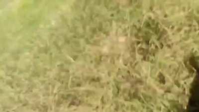 Compilation of September 2025 combat from anti-junta forces in Myanmar (Burma); locations include Tanintharyi Region, Dry Zone, Shan State, and Karenni State