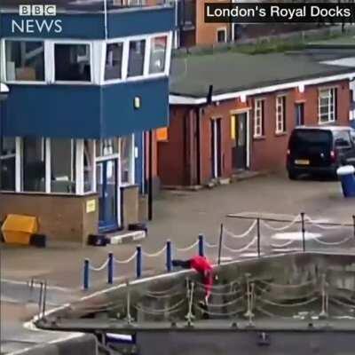 The moment a passerby saved Felix the cat after she fell into the Thames