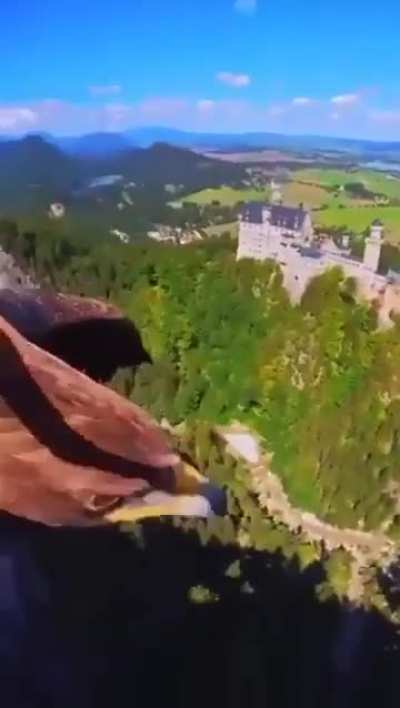 🔥An Eagle Soars By Neuschwanstein Castle in German