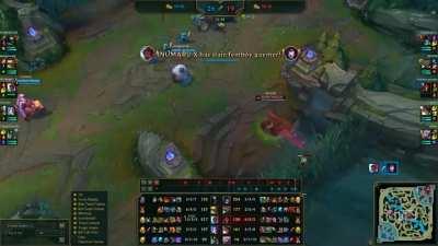 Both teams agreed to stop fighting @ the 30 min mark to watch Rammus and Udyr have a race :D We also agreed that the losing side's team would agree to FF.