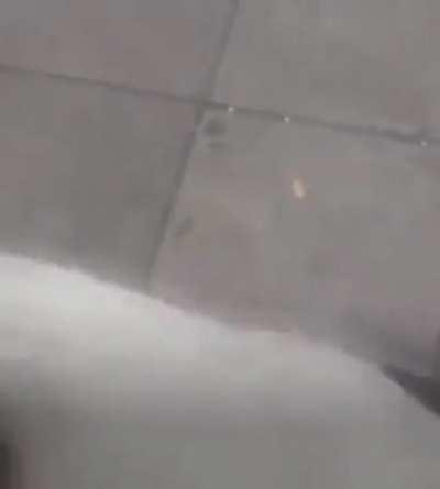 He accidentally found his lost dog.