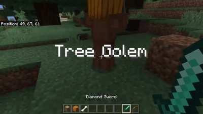 made a new golem with commands in MCW10!