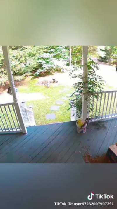 Well that was interesting...