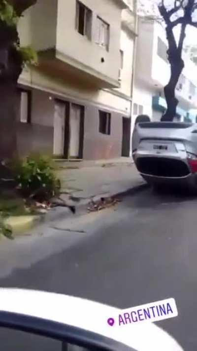 Everybody in argentina park as they please