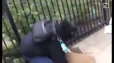 “American Patriots”ripping down and stealing students BLM artwork at their school