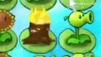 *Internal screaming*