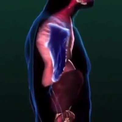 why did my frend send me this?