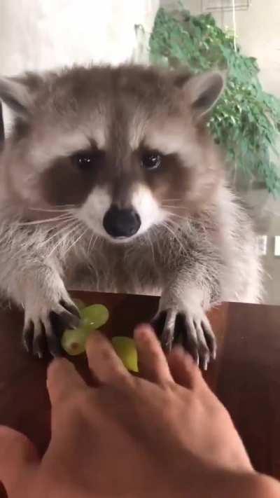 Don't take his hard earned salary