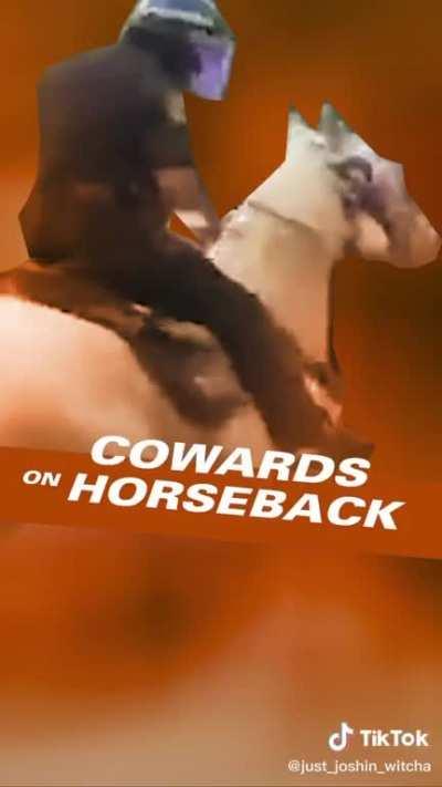 An interesting title