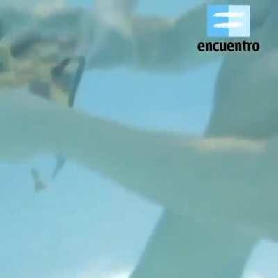 Puede que a ustedes no les de risa pero a mí si xd