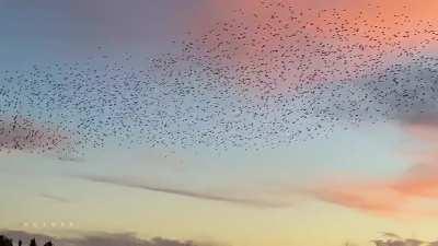 Peaceful sunset at Lake Tuusula, Finland