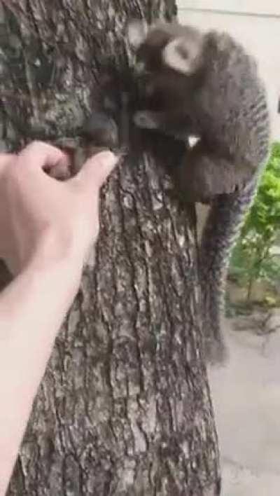 Не ваш потеряшка?