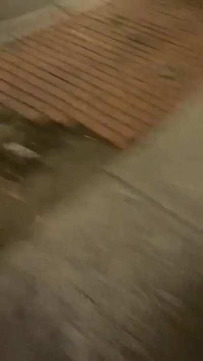 Lead guitarist of Carpool is puking while never missing a beat during his show