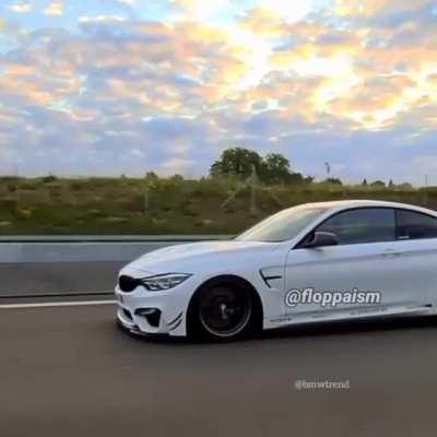 حريم فلوبا كبير؟!؟! ؟؟؟ ((SEX)) MOvie