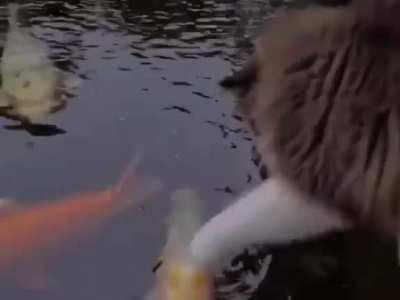 I'll just touch you, fish!