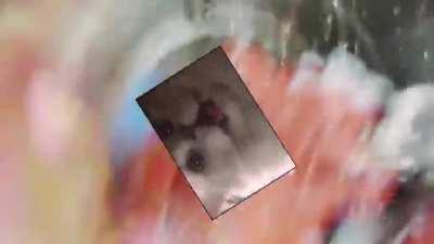 Legion vs Ghostface Chase Music.