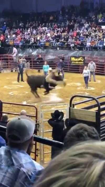 Signalling a bull to 