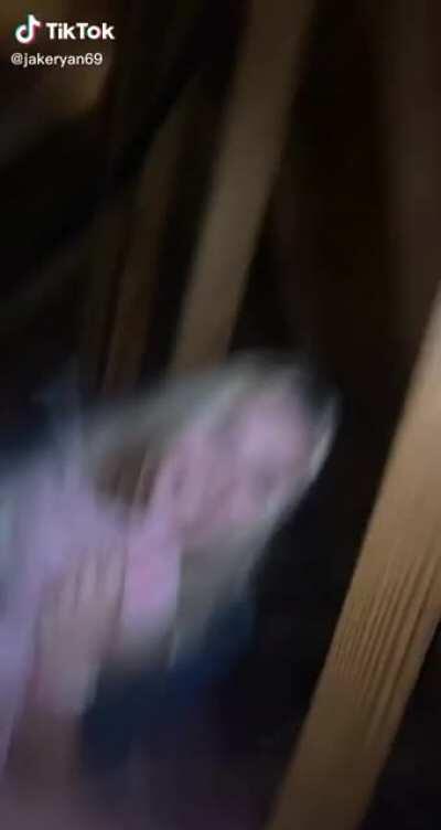 HMC while I eat this strange flavored cotton candy