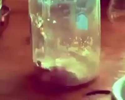 ostia chaval, pero que es la sra white