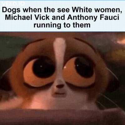 Famous people and dogs are never a good mix