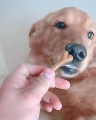 Taming the wild beast