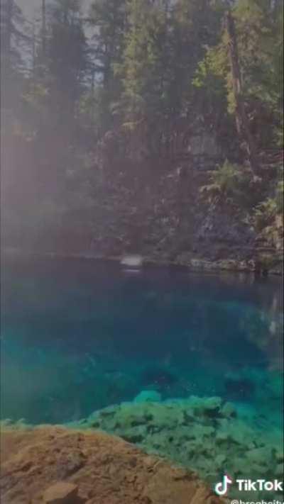 Man knocks himself out trying to do a flip off a cliff into the water. His friend fortunately sees him unconscious and rescues him.