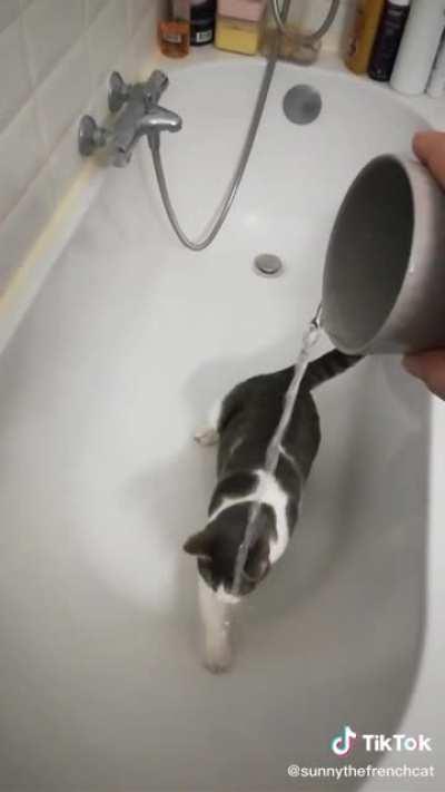 Stop wasting water at once!