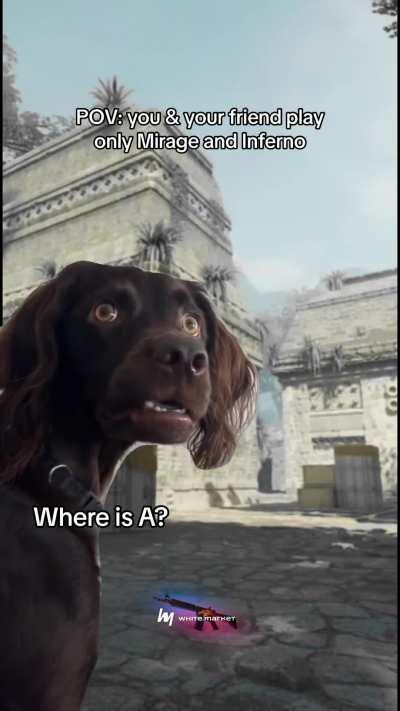 These two teammates…